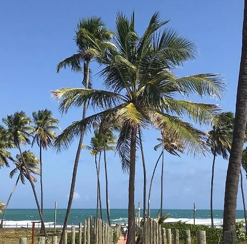 Village Na Praia Do Forte